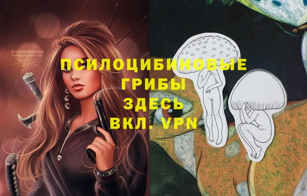 экстази Нязепетровск