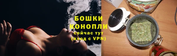 сатива Нягань