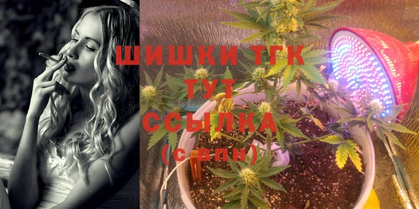 прущая мука Абаза