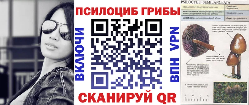 Галлюциногенные грибы Cubensis  МЕГА как зайти  Юрга  купить закладку 