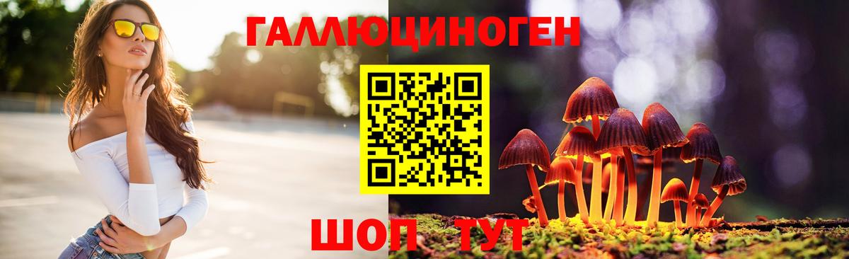 Галлюциногенные грибы GOLDEN TEACHER  Вход с VPN  Юрга 